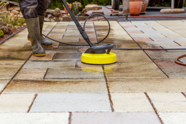 Animal Enclosure Cleaning in Grasonville, MD